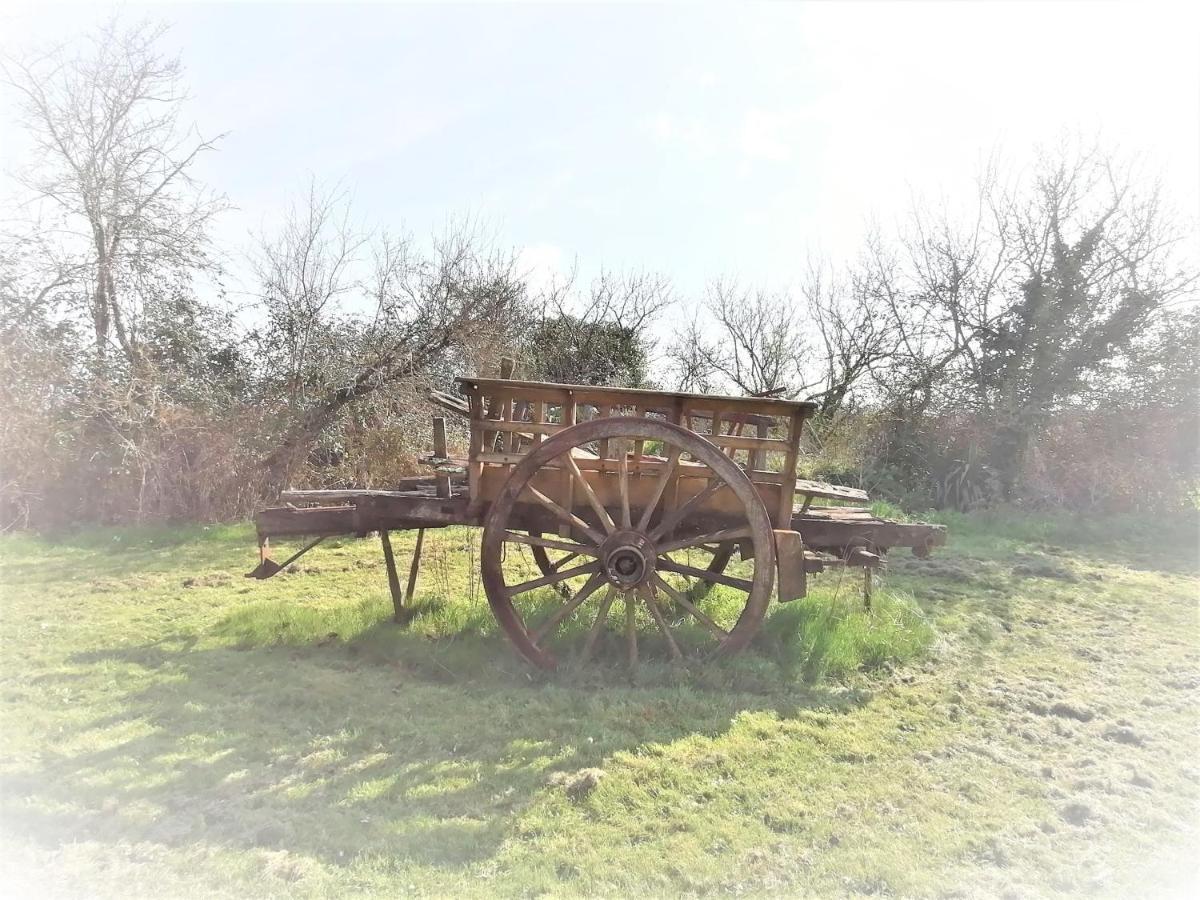 לינה וארוחת בוקר Guillac  Domaine De Gaia, Piscine, Petanque, Ping Pong, Proche Saint-Emilion מראה חיצוני תמונה
